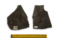 F 00846
<br/>
<br/>
<em></em>